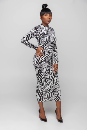 Zebra Skirt Set